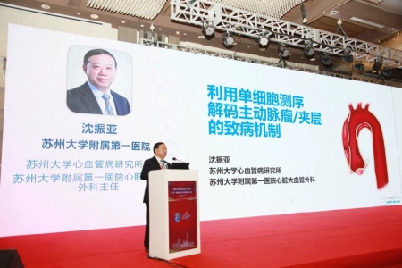 蘇州大學(xué)心血管病研究所所長、蘇州大學(xué)附屬第一醫(yī)院心臟大血管外科主任沈振亞教授作報(bào)告