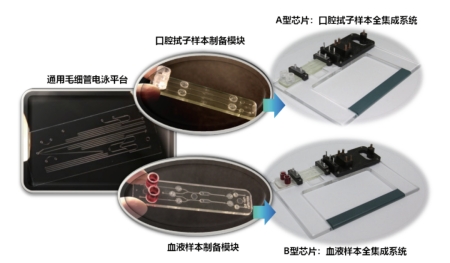 獨(dú)創(chuàng)的基于微流控毛細(xì)管電泳技術(shù)的模塊化集成芯片卡盒